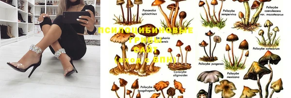 каннабис Аркадак
