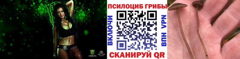 Псилоцибиновые грибы ЛСД  Ленинск 